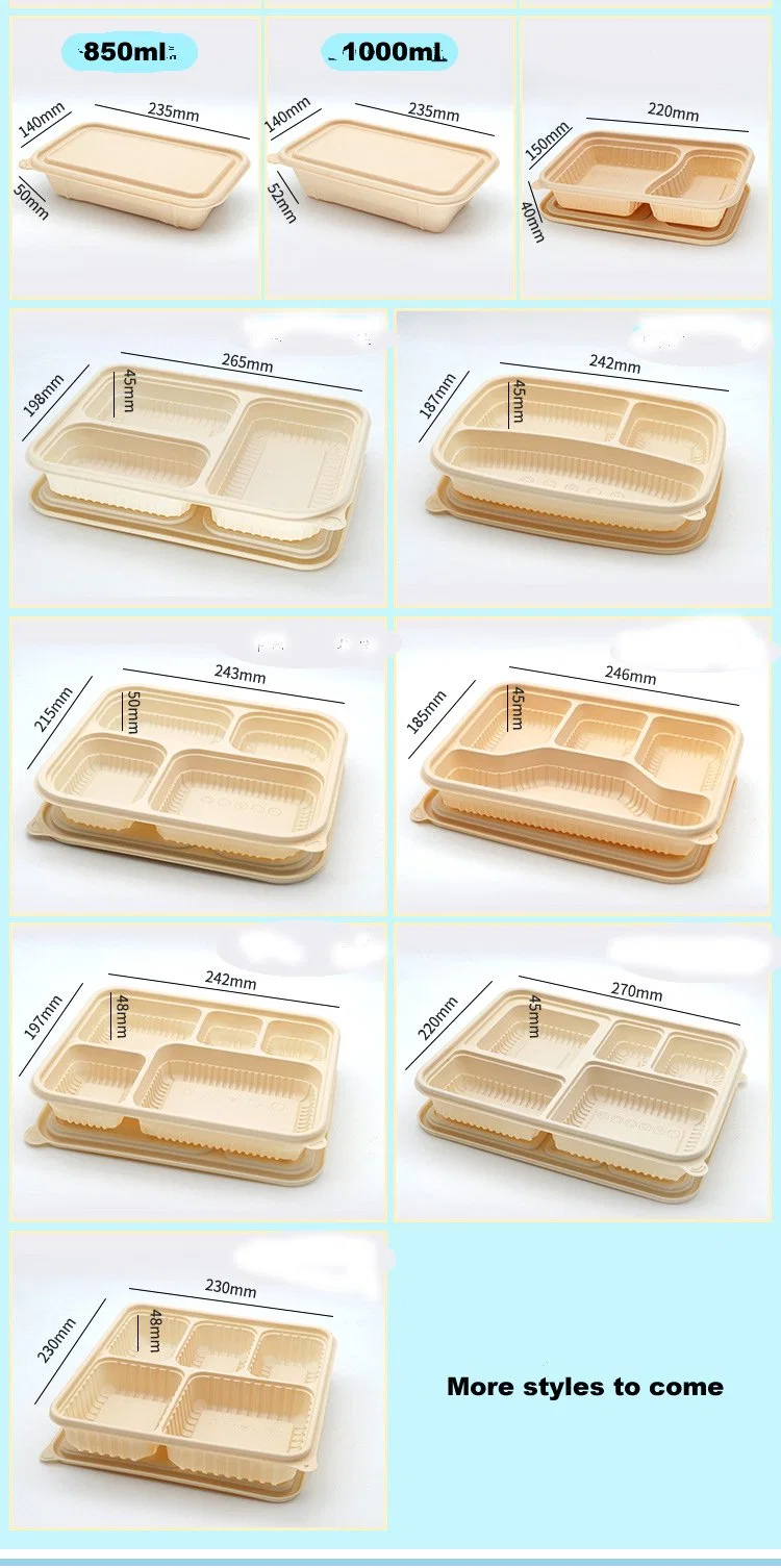 Disposable Food Container Wholesale Cornstarch Surgarcane Bagasse Storage Biodegradable Bento Take Away Fast Lunch Box with Lid