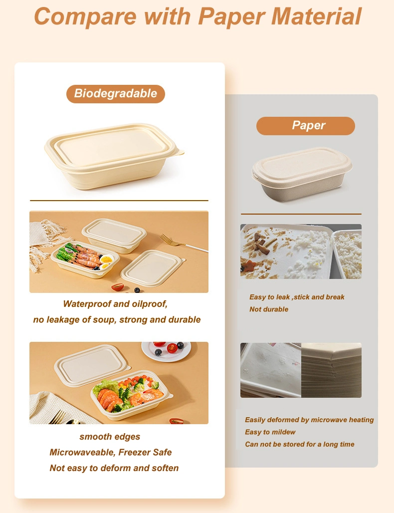 Disposable Food Container Wholesale Cornstarch Surgarcane Bagasse Storage Biodegradable Bento Take Away Fast Lunch Box with Lid