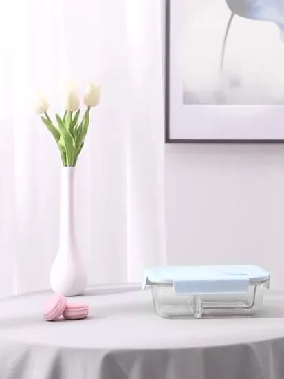 Prezzo di fabbrica Pentole riutilizzabili per forno riutilizzabili Contenitore per alimenti in vetro a 2 scomparti Bento Lunch Box con coperchi